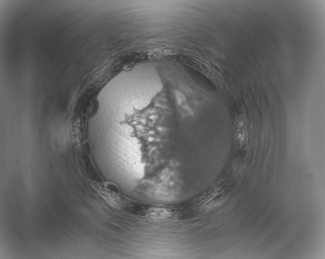 X0000058780519200510171256