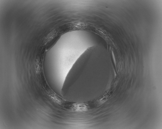 X0000058780520200510171256