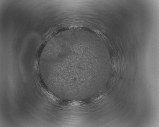 X0000058780523200510171256