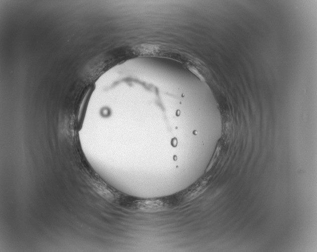 X0000058780525200510171256