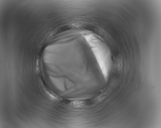 X0000058780526200510171256