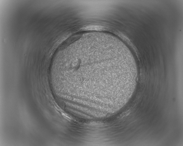 X0000058780529200510171255