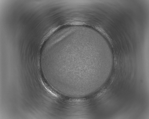 X0000058780533200510171256