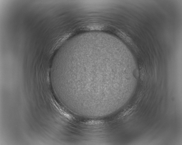 X0000058780537200510171256