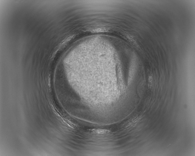 X0000058780539200510171256