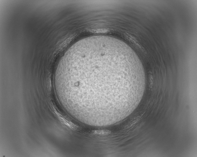 X0000058780541200510171256