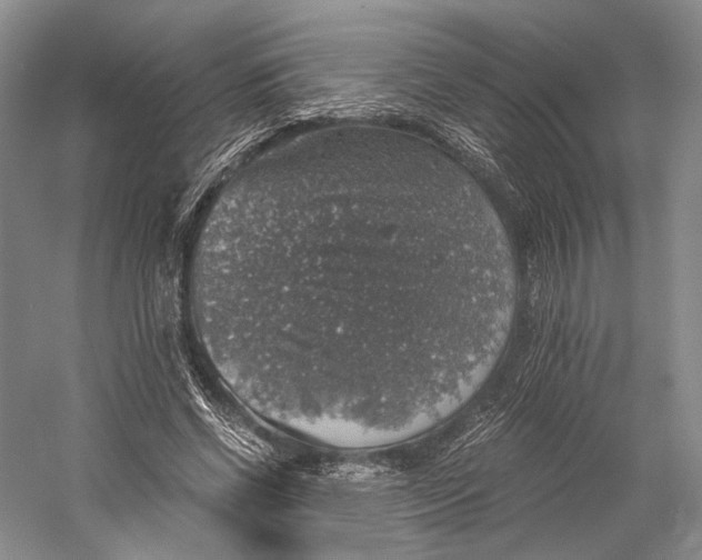 X0000058780542200510171256