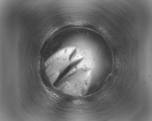 X0000058780544200510171256