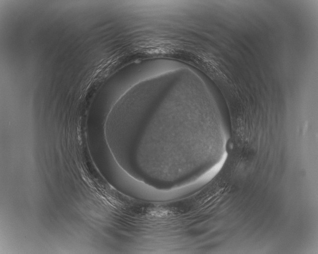 X0000058780547200510171256