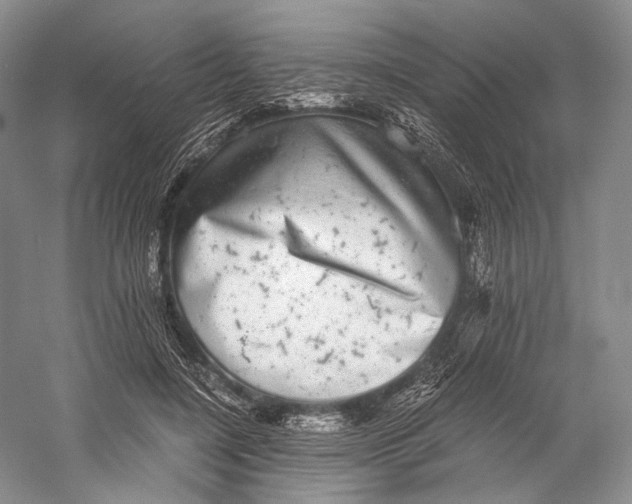 X0000058780548200510171256