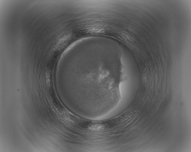 X0000058780551200510171256