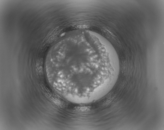 X0000058780553200510171256