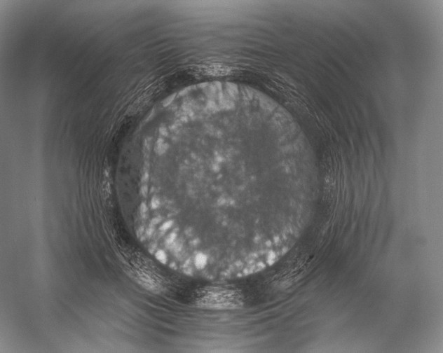 X0000058780555200510171256