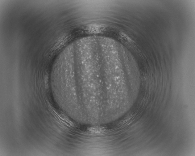 X0000058780556200510171256