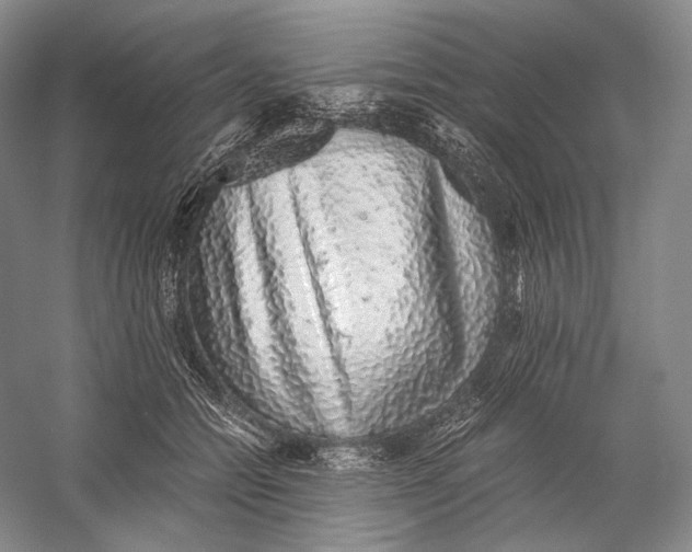 X0000058780558200510171256