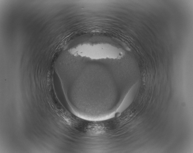 X0000058780559200510171256