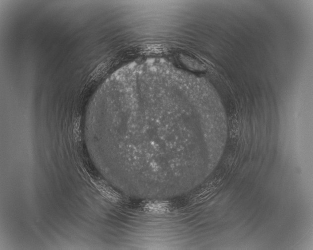 X0000058780560200510171256