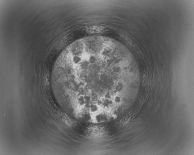 X0000058780561200510171256