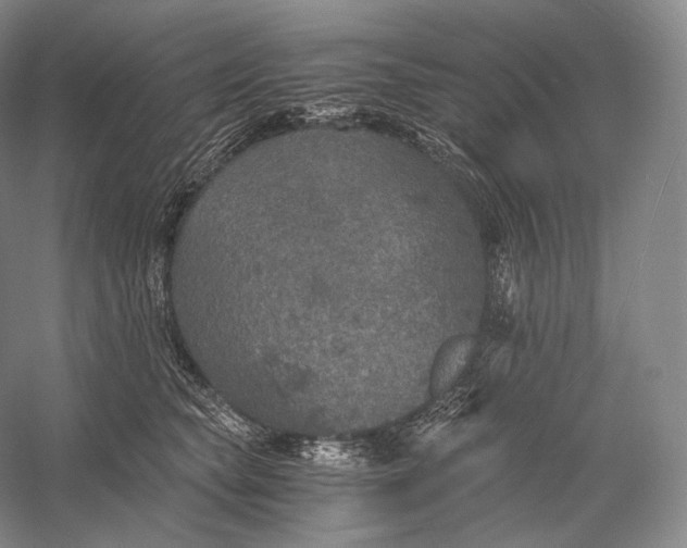 X0000058780565200510171256