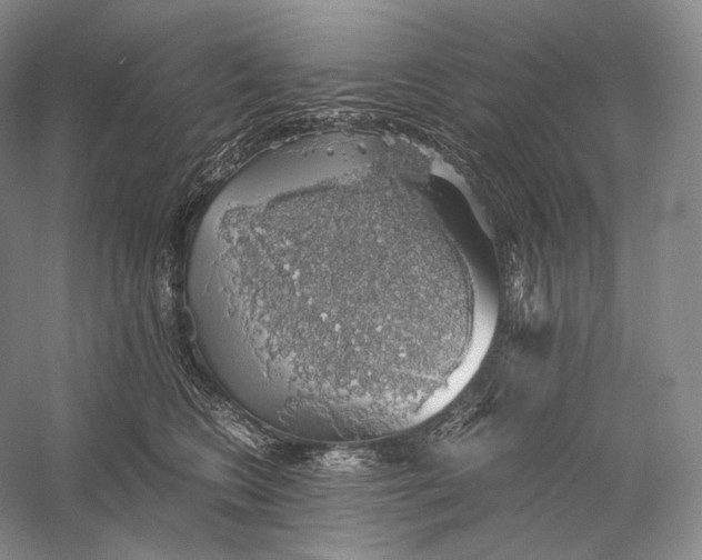 X0000058780566200510171256