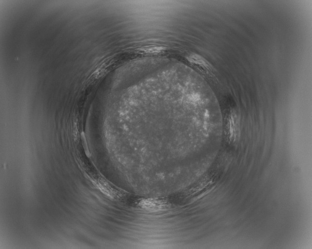 X0000058780568200510171256