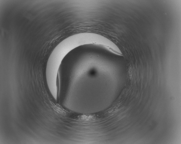 X0000058780570200510171256