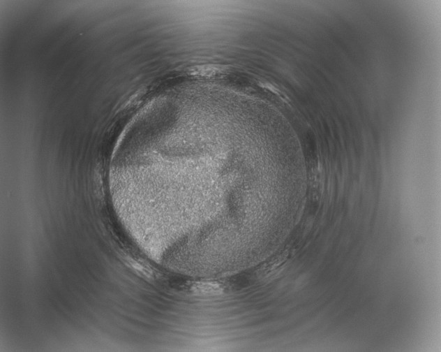 X0000058780572200510171256