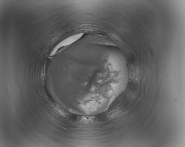 X0000058780573200510171256