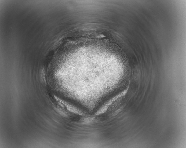 X0000058780575200510171256