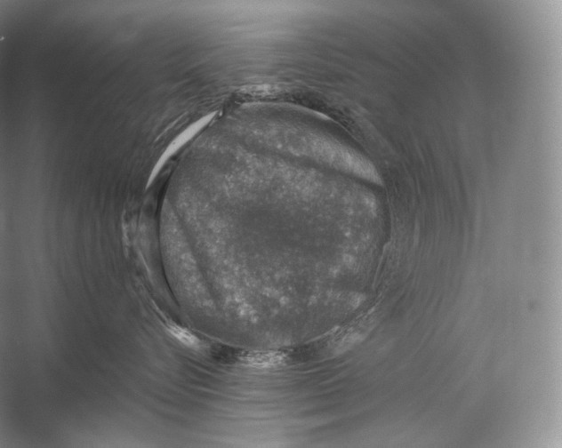 X0000058780576200510171256