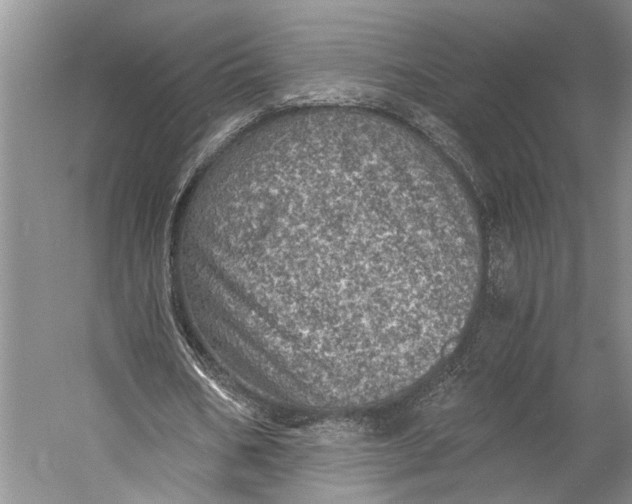 X0000058780578200510171255