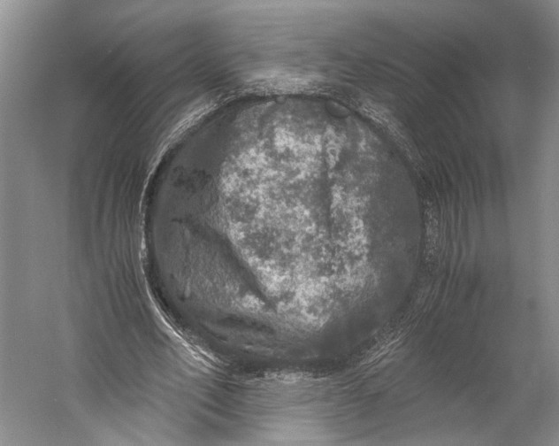 X0000058780582200510171255