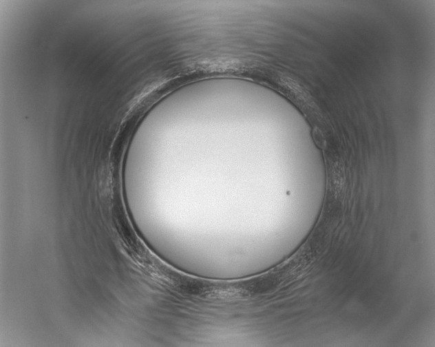 X0000058780583200510171255