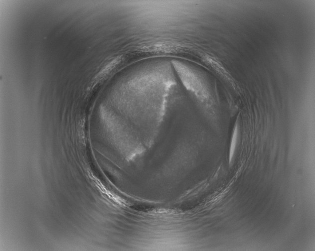 X0000058780585200510171255