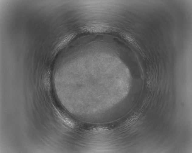 X0000058780586200510171255