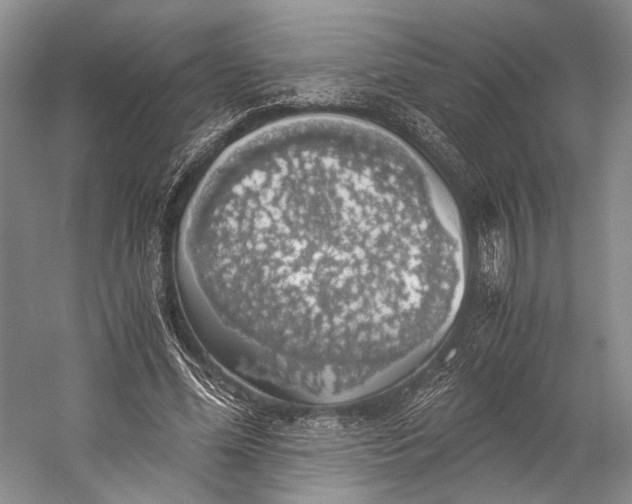 X0000058780588200510171255