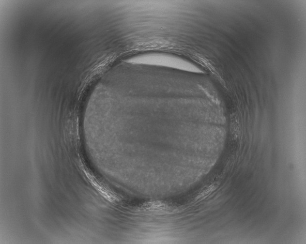 X0000058780589200510171255