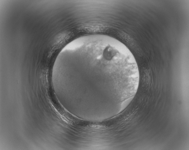 X0000058780590200510171255