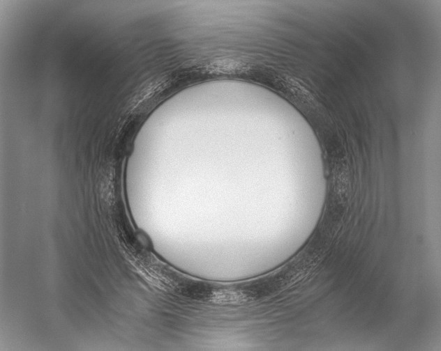 X0000058780591200510171255