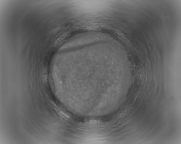 X0000058780593200510171255