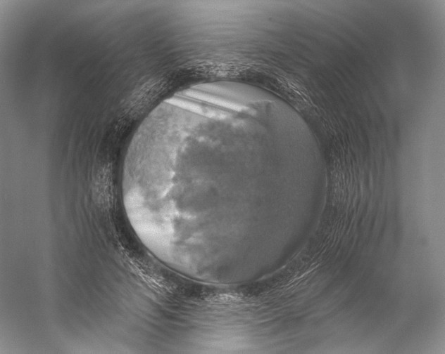 X0000058780594200510171255