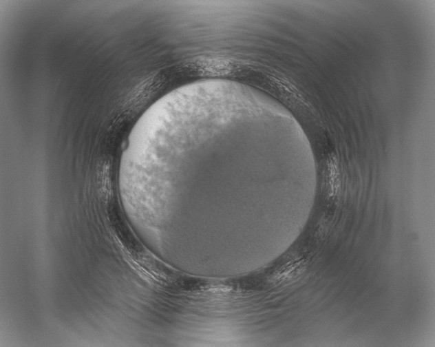 X0000058780598200510171255