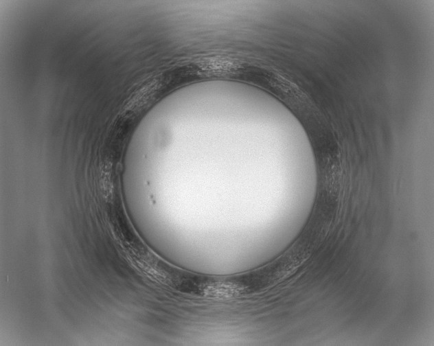 X0000058780599200510171255