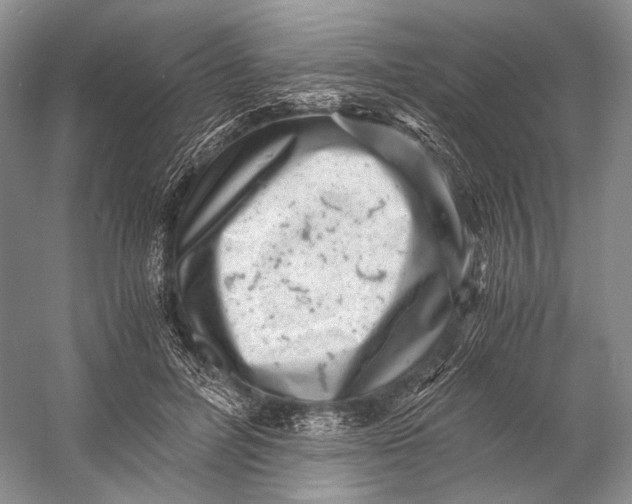 X0000058780600200510171255