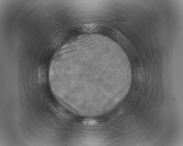 X0000058780602200510171255