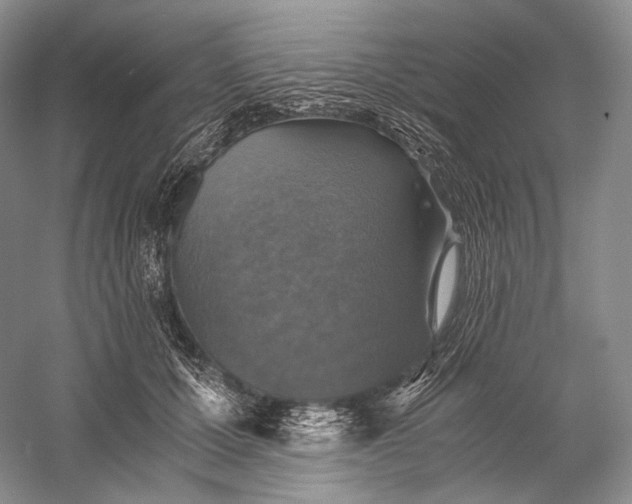 X0000058780607200510171255