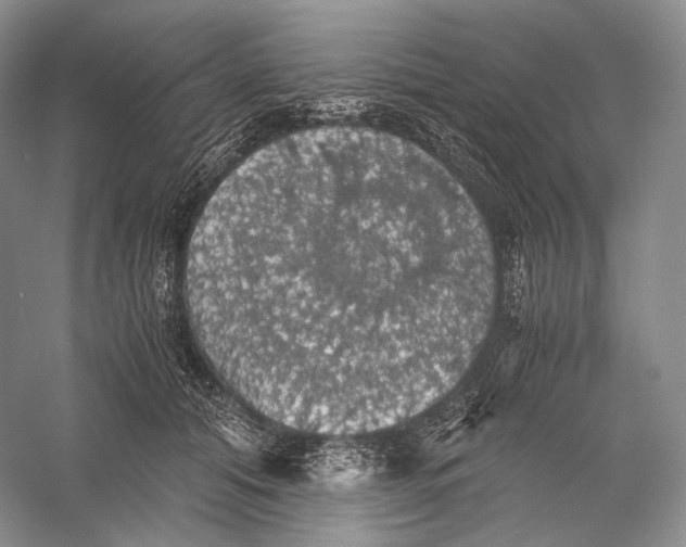 X0000058780608200510171255