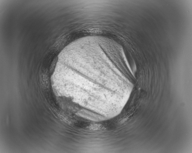 X0000058780609200510171255