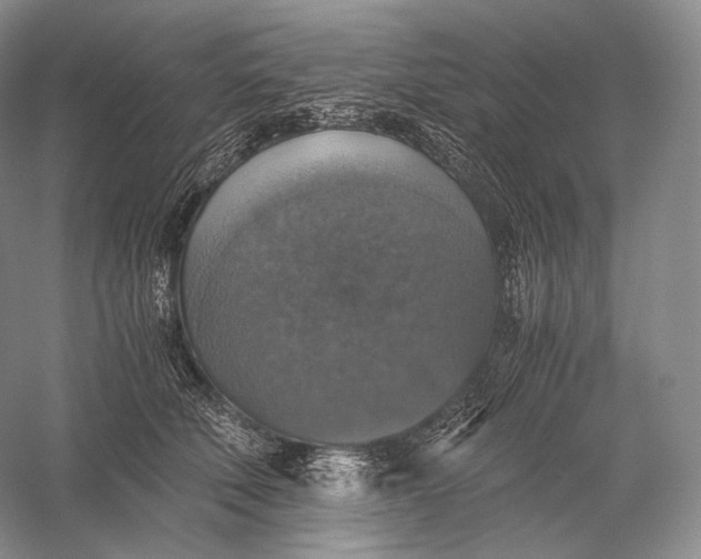 X0000058780610200510171255