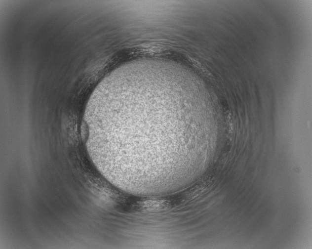 X0000058780615200510171255